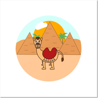 Camel traveling around ancient Egypt and the Giza pyramids Posters and Art